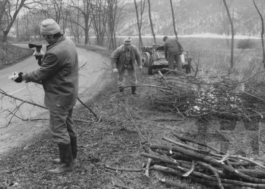 THM-BJ-11746 - Gallymentesítés Mórágy mellett az 1980-as években