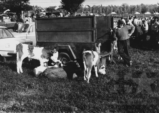 THM-BJ-11779 - Vásár Decsen az 1980-as években