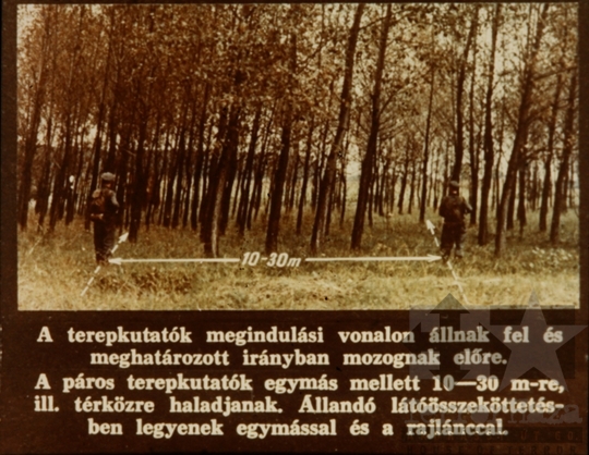 THM-DIA-2018.2.10.31 - Kutatás