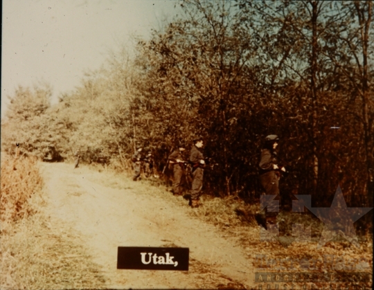 THM-DIA-2018.2.10.36 - Kutatás