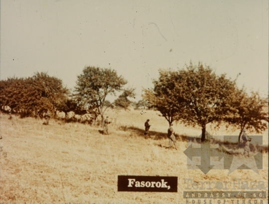 THM-DIA-2018.2.10.37 - Kutatás