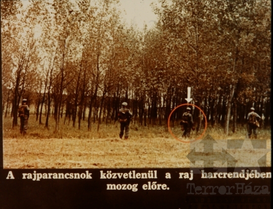 THM-DIA-2018.2.10.41 - Kutatás