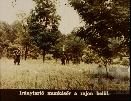 THM-DIA-2018.2.10.46 - Kutatás