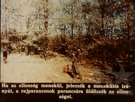 THM-DIA-2018.2.10.79 - Kutatás