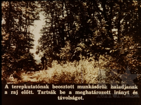 THM-DIA-2018.2.10.80 - Kutatás