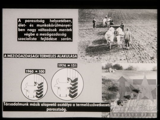 THM-DIA-2018.2.20.14 - Társadalmi viszonyaink fejlődése