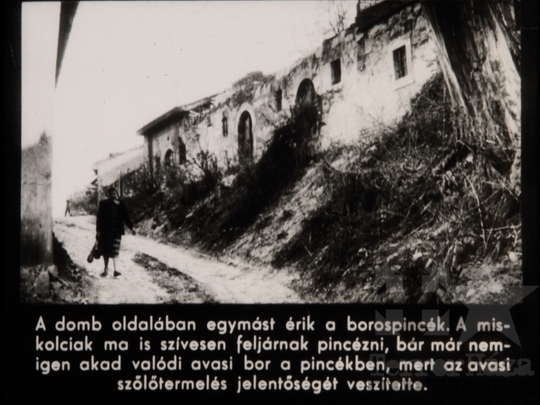 THM-DIA-2018.2.22.12 - Miskolc