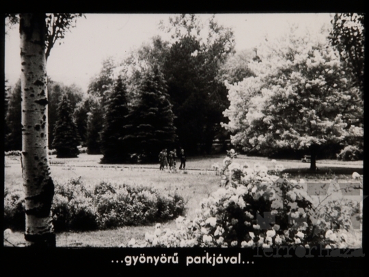 THM-DIA-2018.2.22.39 - Miskolc