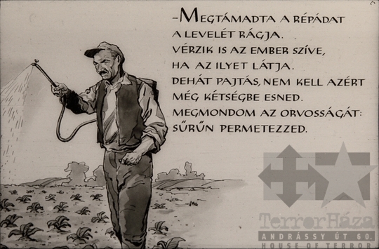 THM-DIA-2018.2.2.45 - Nagyvilág a kislakásban