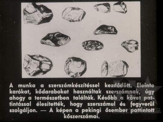 THM-DIA-2018.2.6.04 - A munka - élethivatás: az igazi boldogság