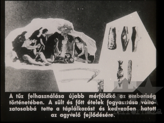 THM-DIA-2018.2.6.06 - A munka - élethivatás: az igazi boldogság