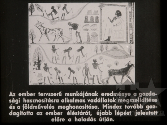 THM-DIA-2018.2.6.08 - A munka - élethivatás: az igazi boldogság