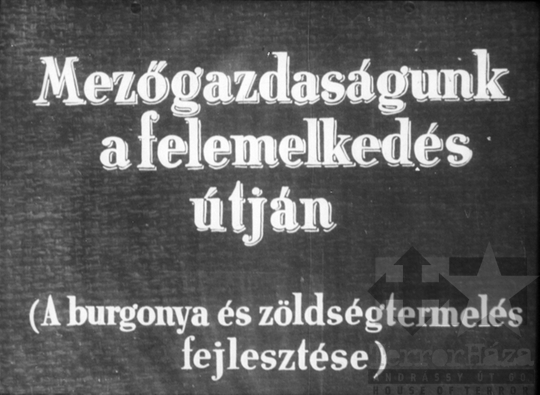 THM-DIA-2019.1.4.02 - Mezőgazdaságunk a felemelkedés útján