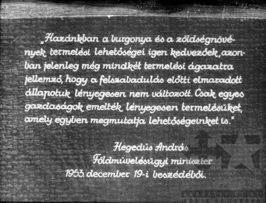 THM-DIA-2019.1.4.04 - Mezőgazdaságunk a felemelkedés útján