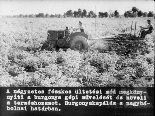 THM-DIA-2019.1.4.06 - Mezőgazdaságunk a felemelkedés útján