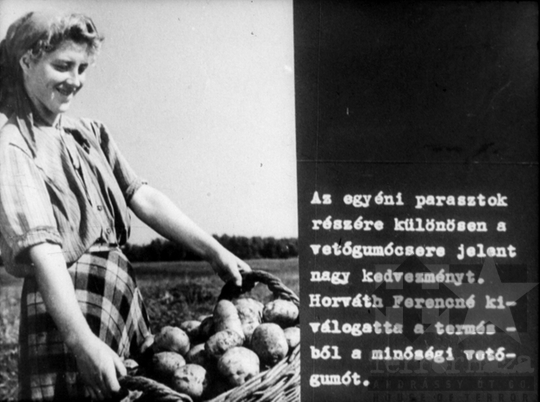 THM-DIA-2019.1.4.08 - Mezőgazdaságunk a felemelkedés útján