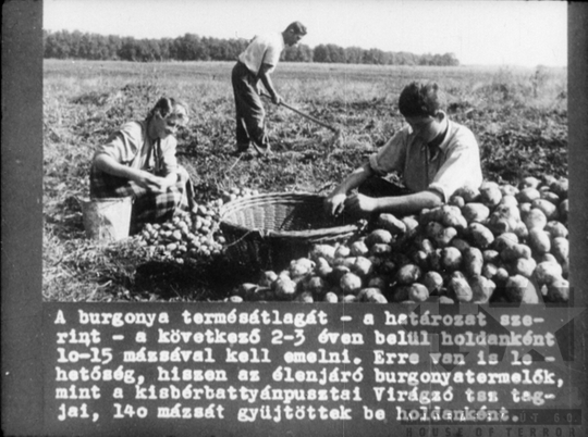 THM-DIA-2019.1.4.09 - Mezőgazdaságunk a felemelkedés útján