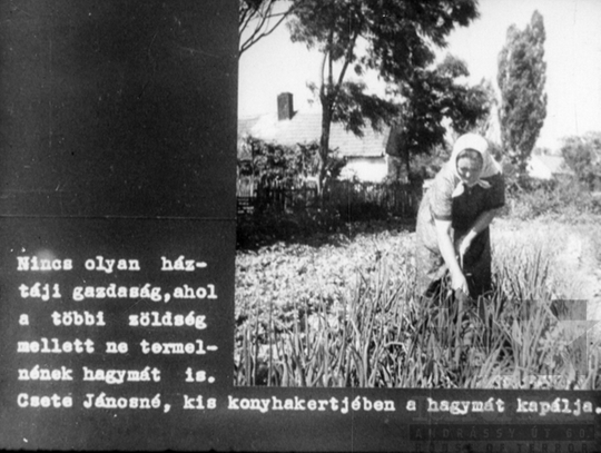 THM-DIA-2019.1.4.10 - Mezőgazdaságunk a felemelkedés útján