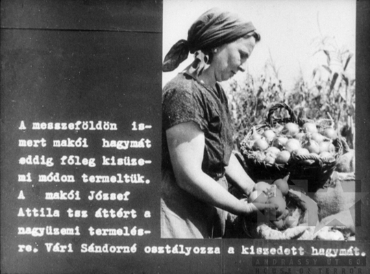 THM-DIA-2019.1.4.11 - Mezőgazdaságunk a felemelkedés útján