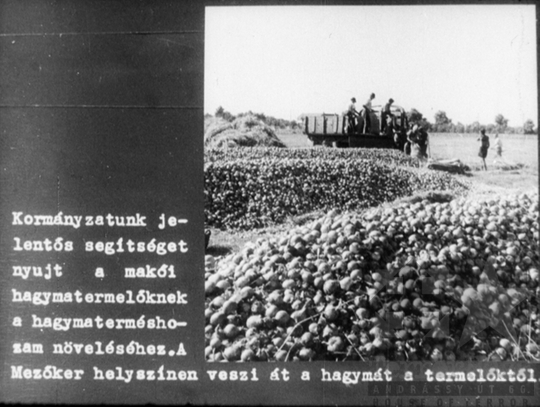 THM-DIA-2019.1.4.12 - Mezőgazdaságunk a felemelkedés útján