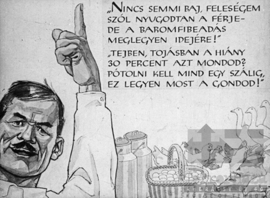 THM-DIA-2019.1.7.12 - Bíró Dani álma